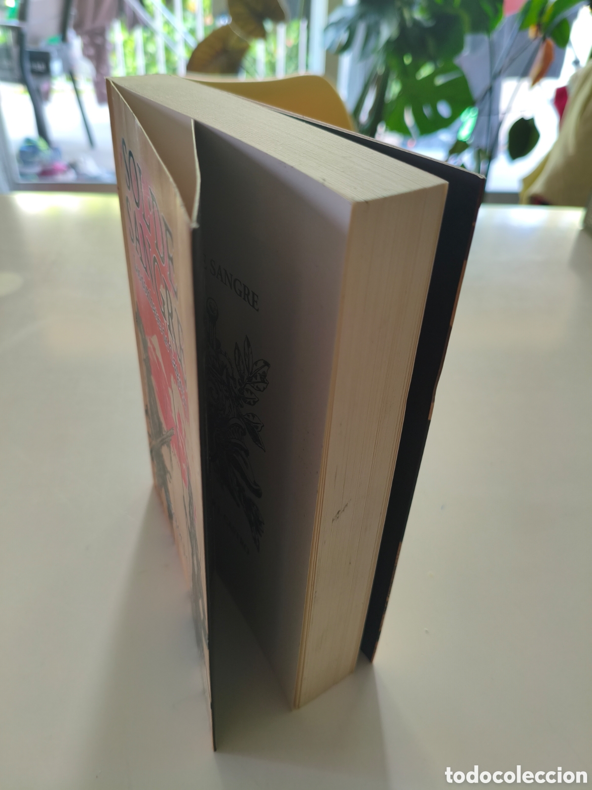 Libros de segunda mano: 959 - sol de sangre los combates de cagayan - Foto 4