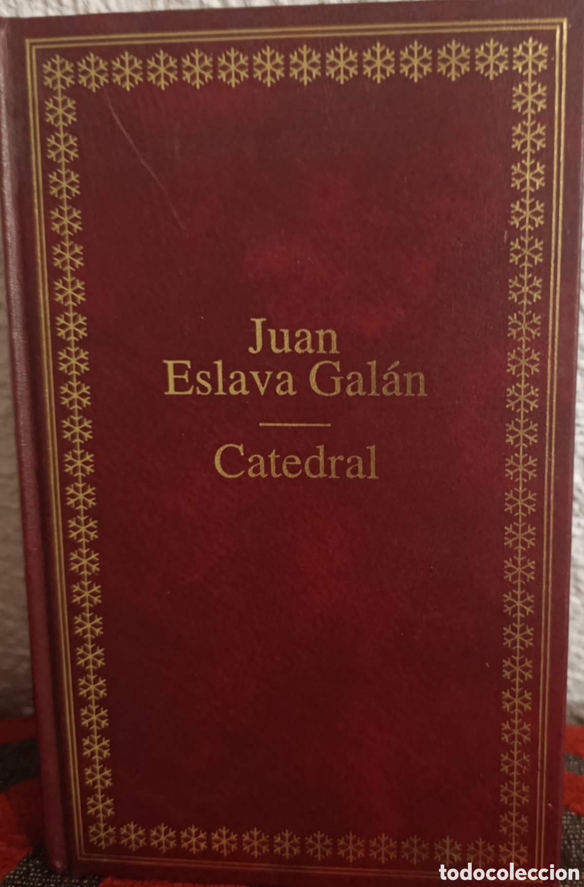 Libros de segunda mano: CATEDRAL - Juan Eslava Gal&aacute;n (Edici&oacute;n en tapa dura)