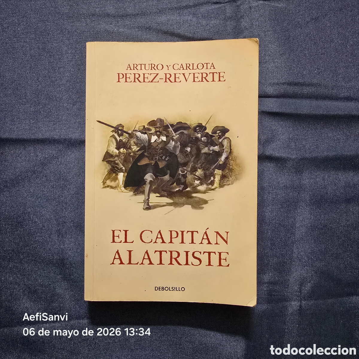 Libros de segunda mano: EL CAPIT&Aacute;N ALATRISTE (ARTURO P&Eacute;REZ-REVERTE) (DEBOLSILLO)