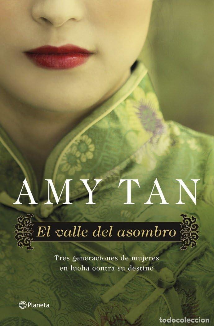 Libros de segunda mano: El valle del asombro (Planeta Internacional)
