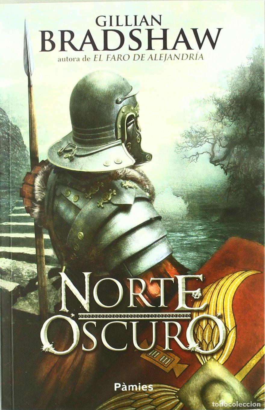 Libros de segunda mano: Norte Oscuro Bradshaw, Gillian