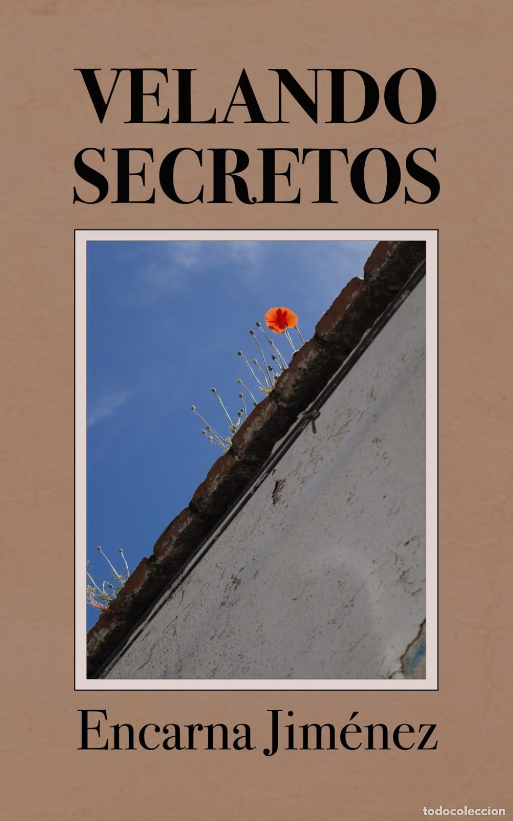 Libros de segunda mano: Velando Secretos: Una novela hist&oacute;rica sobre secretos familiares y que denuncia los prejuicios socia