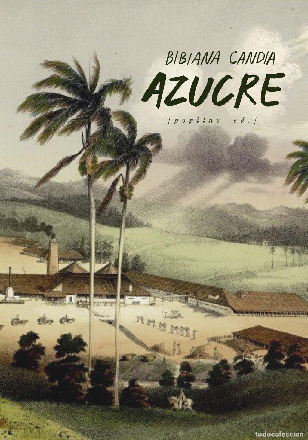 Libros de segunda mano: Azucre: Una Epopeya - Bibiana Candia Becerra - Pepitas de Calabaza - Ficci&oacute;n, N&ordm; 41
