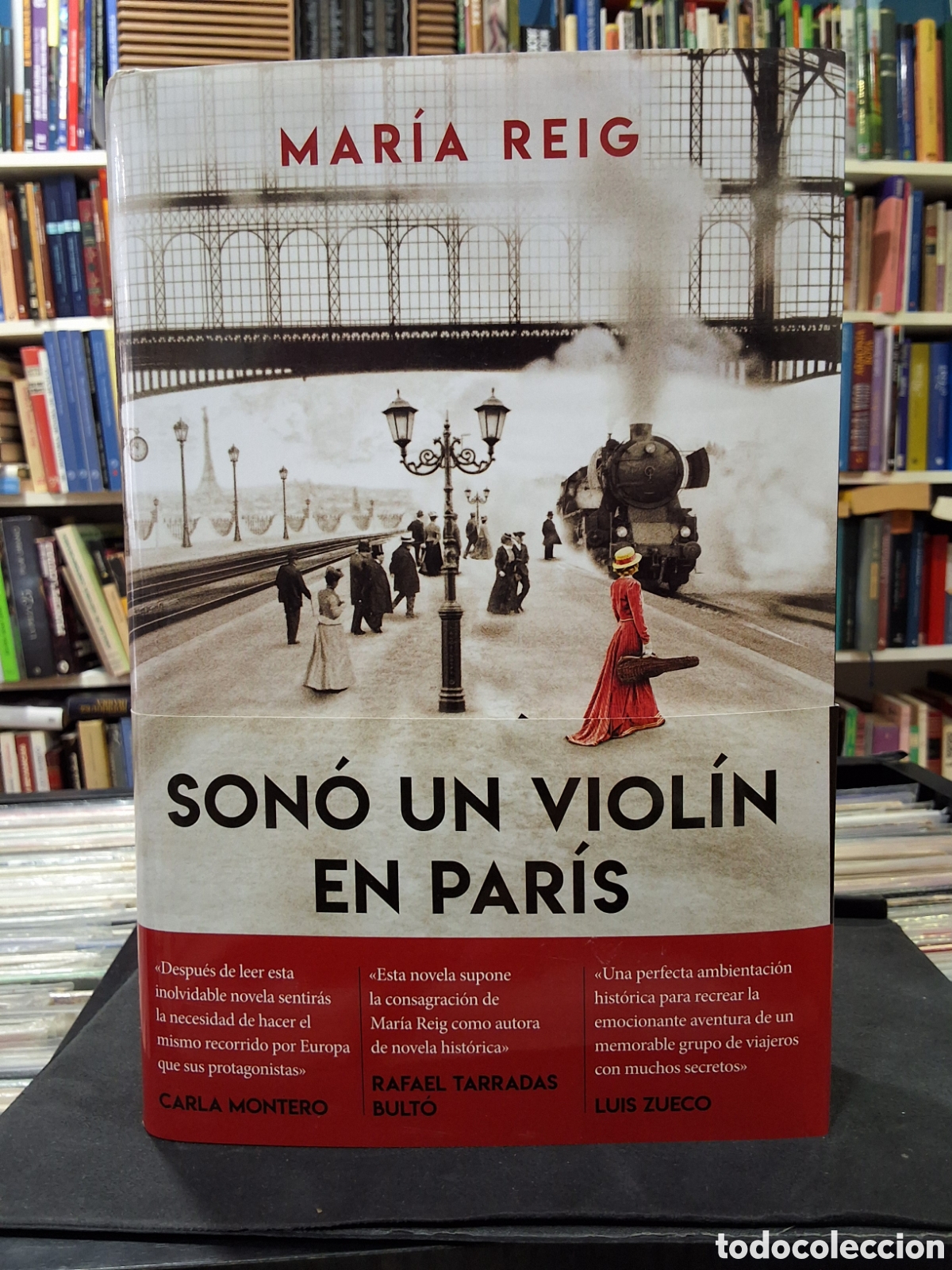 Libros de segunda mano: SON&Oacute; UN VIOL&Iacute;N EN PAR&Iacute;S - MARIA REIG - ENV&Iacute;O DESDE 2,50&euro;