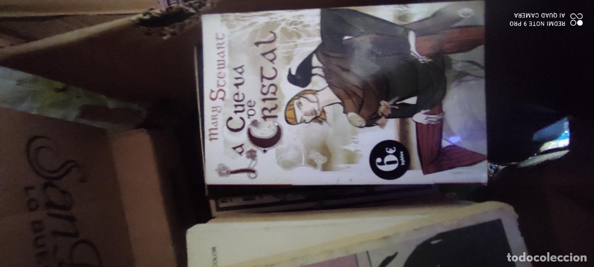 Libros de segunda mano: La cueva de cristal. Stewart