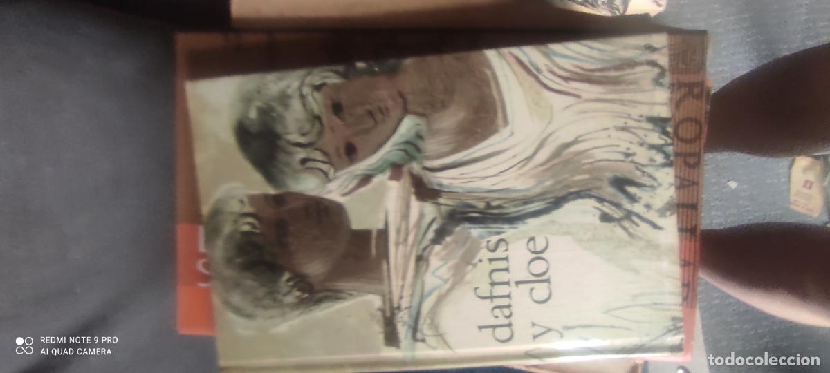 Libros de segunda mano: Dafnis y cloe. Novela