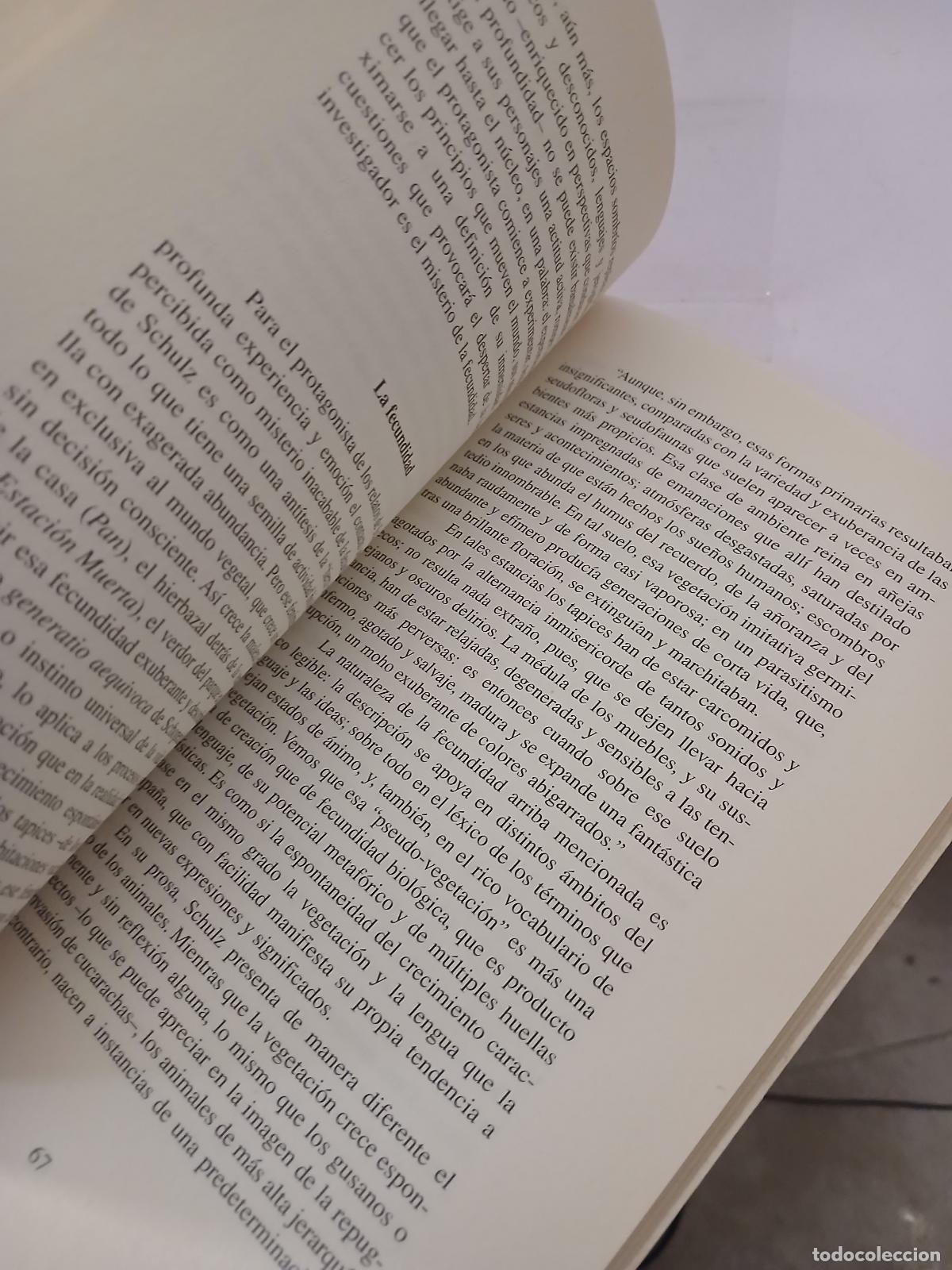 Libros de segunda mano: Schulz - Jerzy Jarzębski - Foto 3