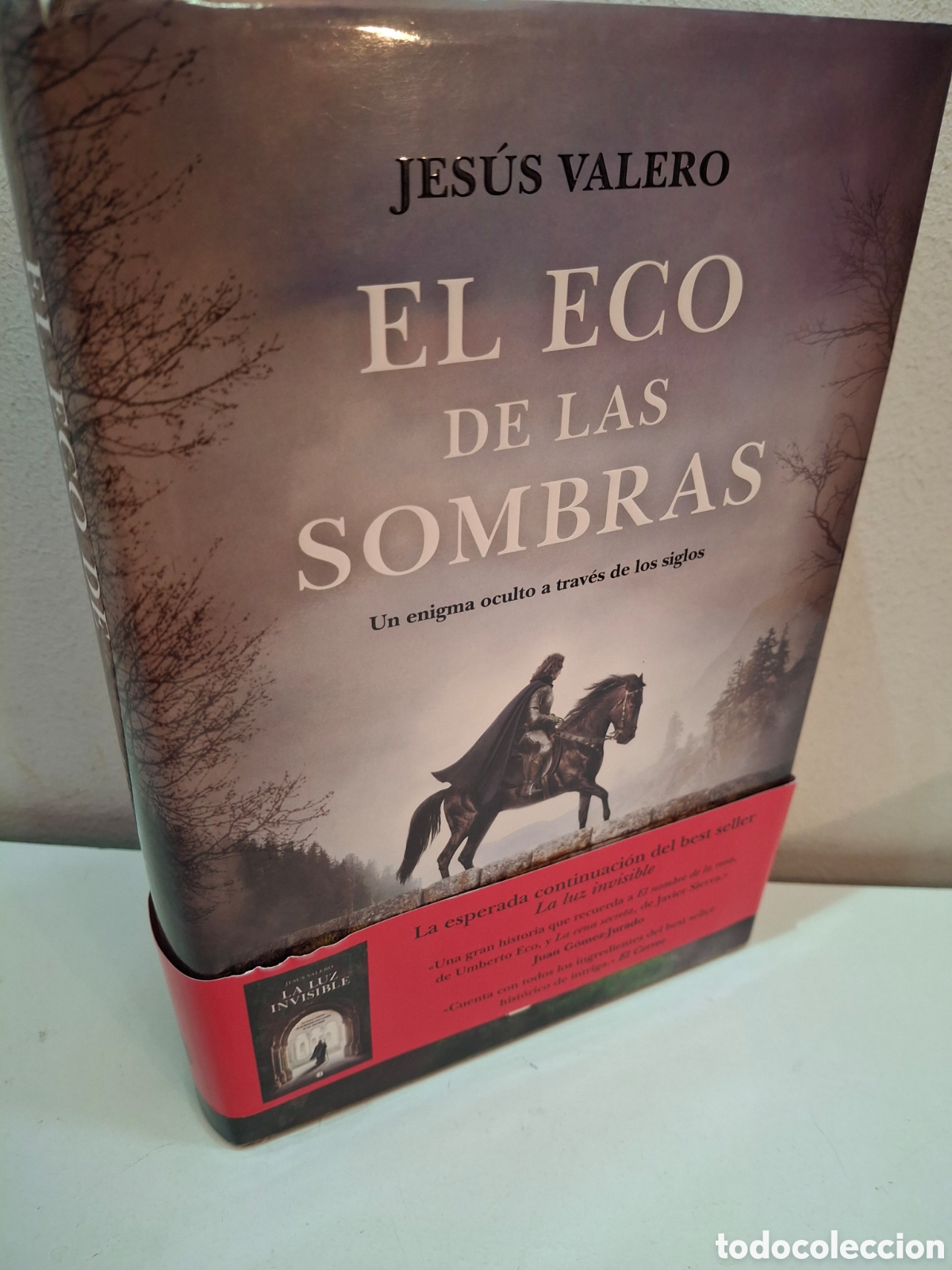 Libros de segunda mano: EL ECO DE LAS SOMBRAS, UN ENIGMA OCULTO A TRAVES DE LOS SIGLOS, JESUS VALERO, EDICIONES B, 2021