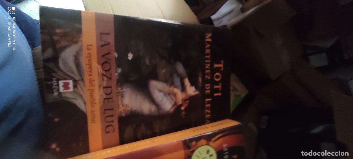 Libros de segunda mano: LA VOZ DE LUG : LA EPOPEYA DEL PUEBLO ASTUR / TOTI MART&Iacute;NEZ DE LEZEA. MADRID : MAEVA, 2009.