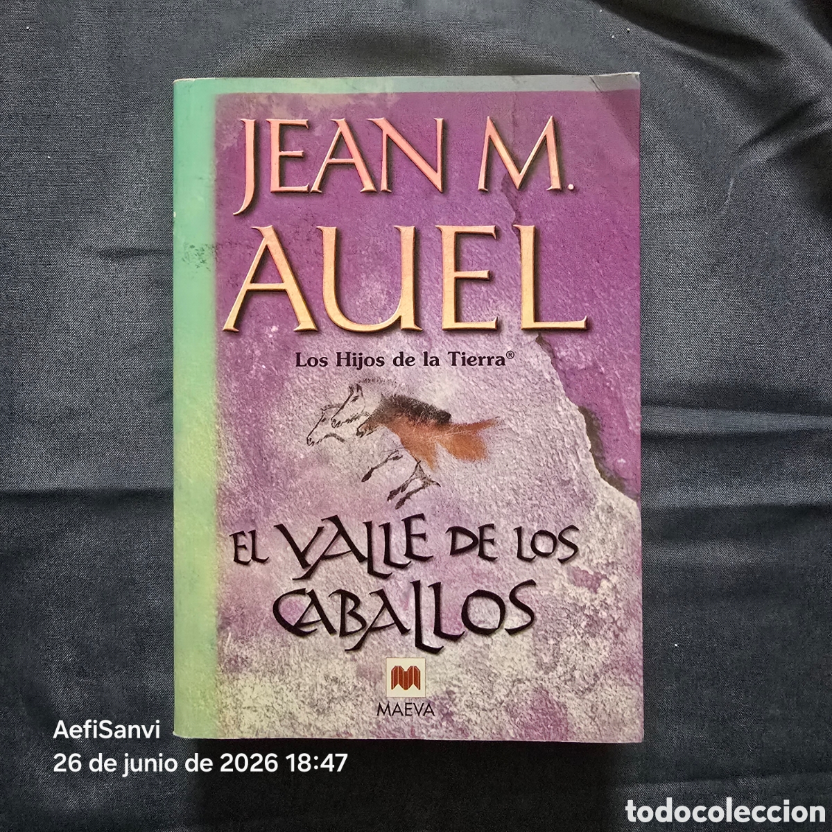 Libros de segunda mano: LOS HIJOS DE LA TIERRA: EL VALLE DE LOS CABALLOS (JEAN M. AUEL) (MAEVA)