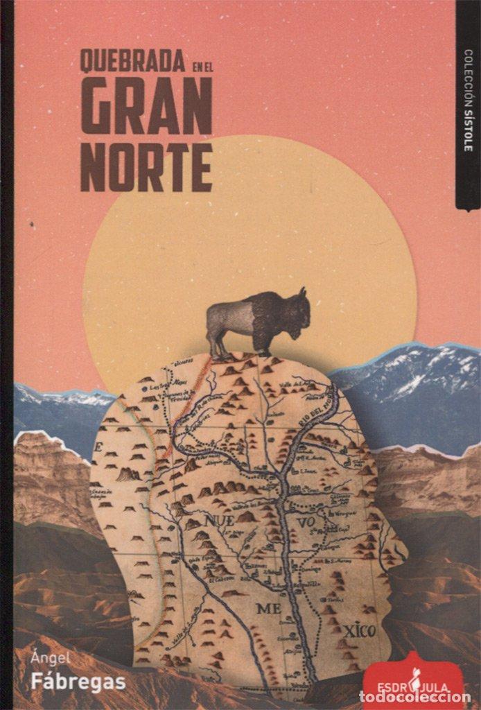 Libros de segunda mano: QUEBRADA EN EL GRAN NORTE (S&iacute;stole)