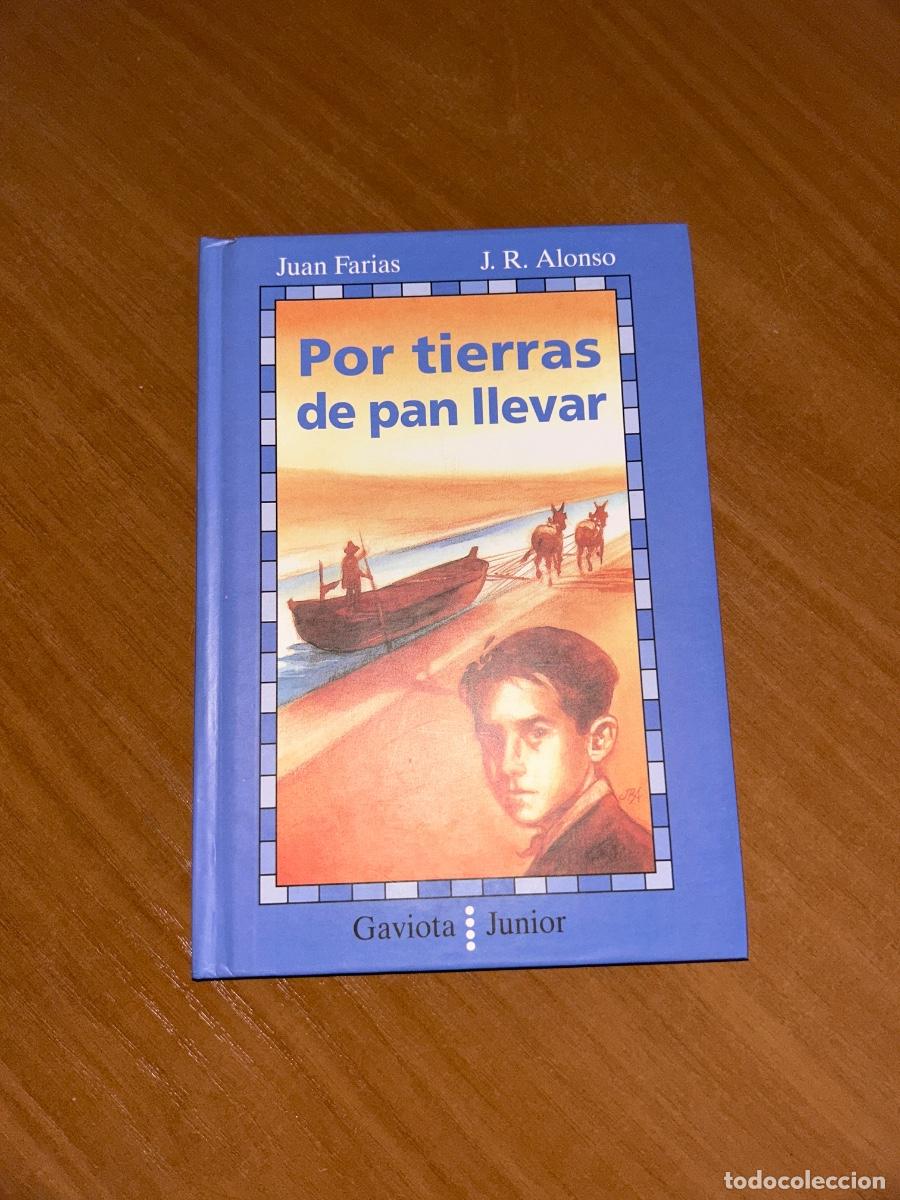 Libros de segunda mano: LIBRO NOVELA HISTORICA