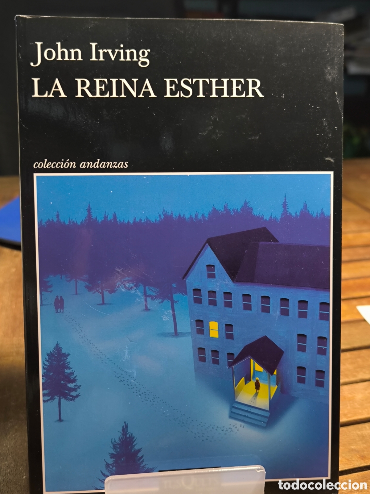 Libros de segunda mano: La reina Esther John Irving 2026