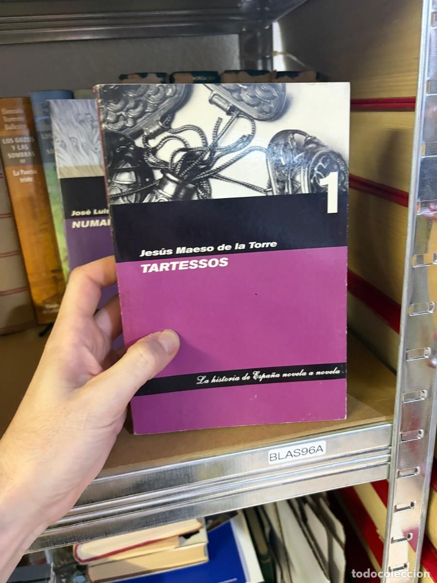Libros de segunda mano: BLAS96A Jes&uacute;s Maeso de la Torre, Tartessos. La historia de Espa&ntilde;a novela a novela.