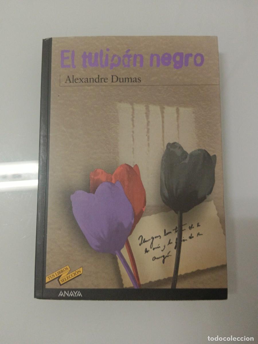Libros de segunda mano: EL TULIP&Aacute;N NEGRO. ALEXANDRE DUMAS
