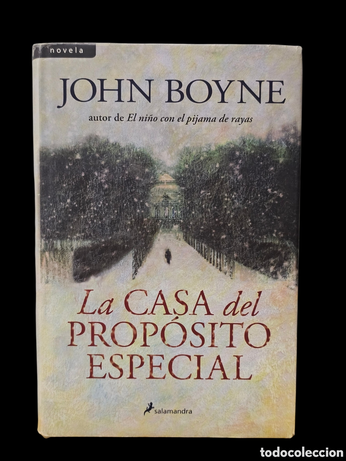 Libros de segunda mano: Libro La Casa del Proposito Especial