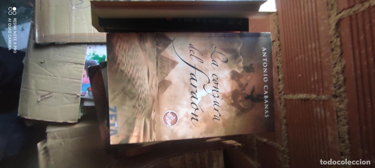 Libros de segunda mano: Caba&ntilde;as. La conjura del fara&oacute;n