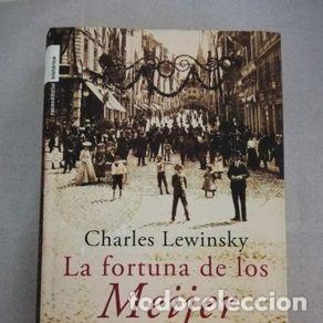 Libros de segunda mano: LA FORTUNA DE LOS MEIJER - CHARLES LEWINSKY