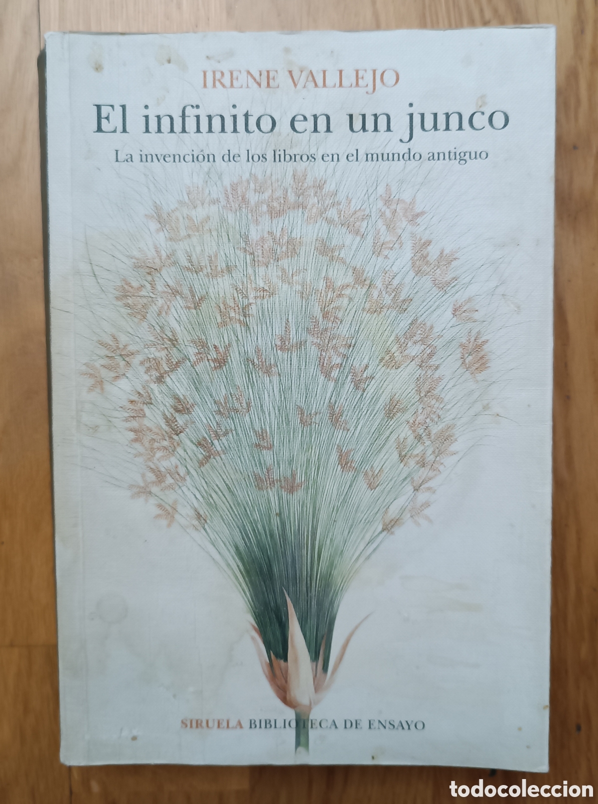 Libros de segunda mano: El infinito en un junco.