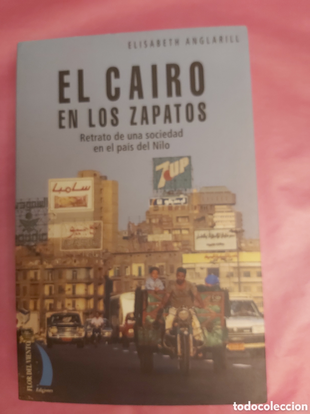 Libros de segunda mano: EL CAIRO EN LOS ZAPATOS RETRATO DE UNA SOCIEDAD EN EL PAIS DEL NILO ELISABETH ANGLARILL PRIMERA EDIC