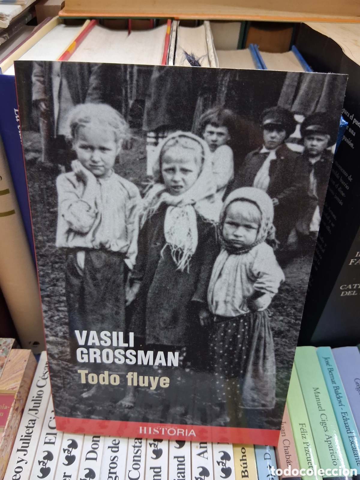 Libros de segunda mano: Todo fluye - Vasili Grossman - Historia