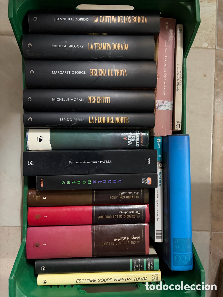 Libros de segunda mano: Lote 17 novelas hist&oacute;ricas y otras: Thomas jarros J.J. Ben&iacute;tez ESPIDO FREIRE Noah Gordon