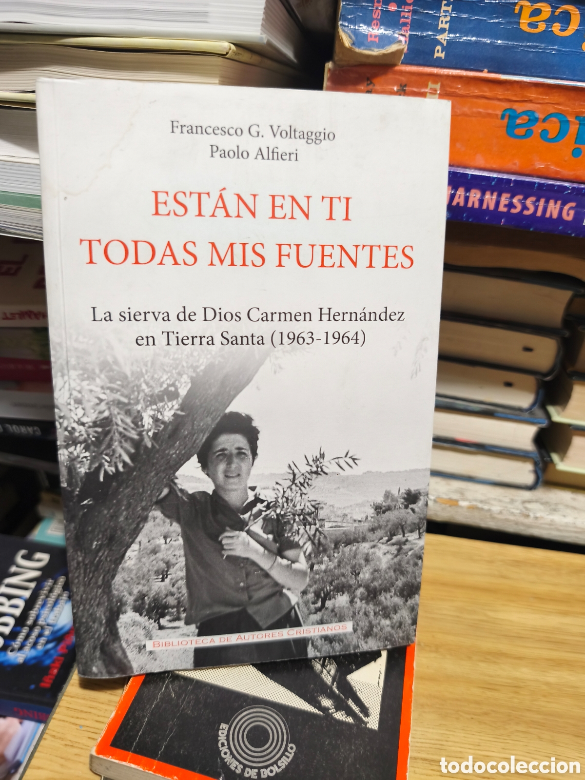 Libros de segunda mano: Est&aacute;n en ti todas mis muertes, de Francisco G. Voltaggio y Paolo Alberti