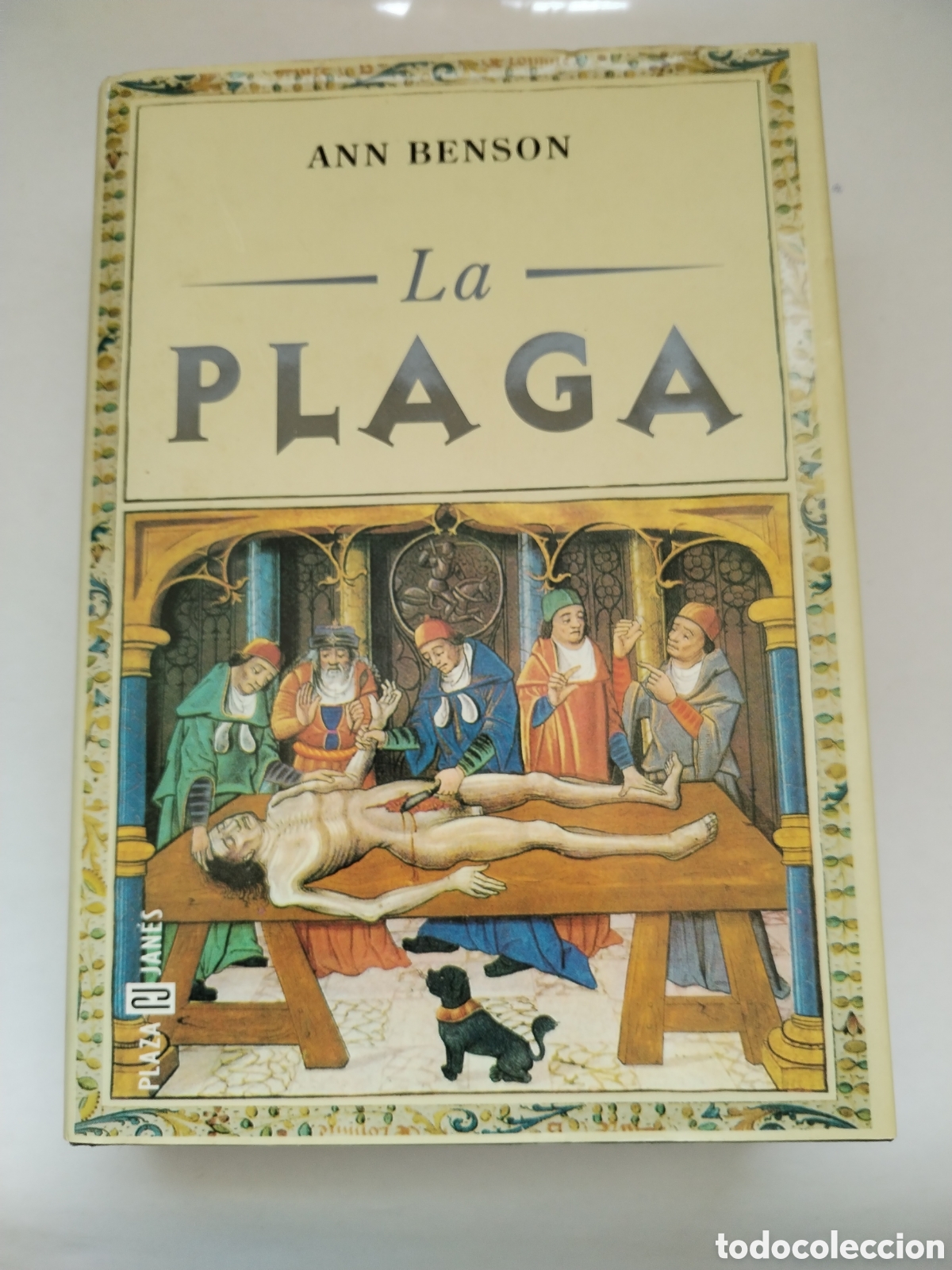 Libros de segunda mano: LA PLAGA/ANN BENSON.