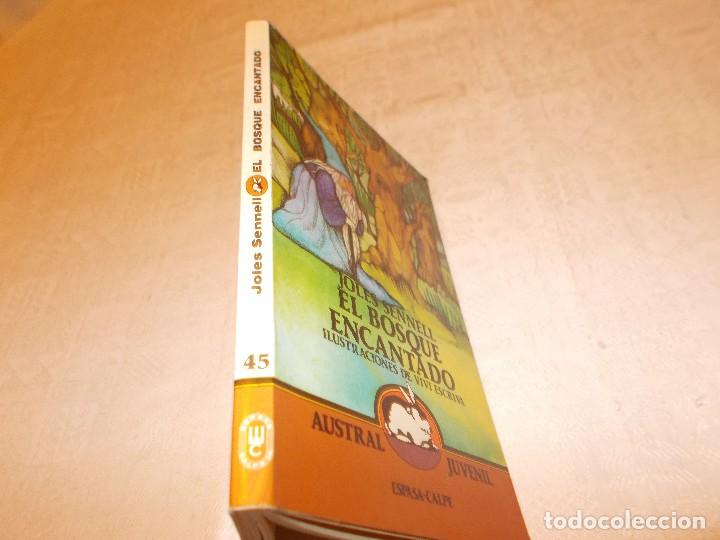 Libros de segunda mano: AUSTRAL JUVENIL El bosque encantado - Foto 2