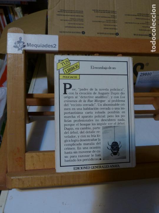 El Escarabajo De Oro Preguntas Y Respuestas