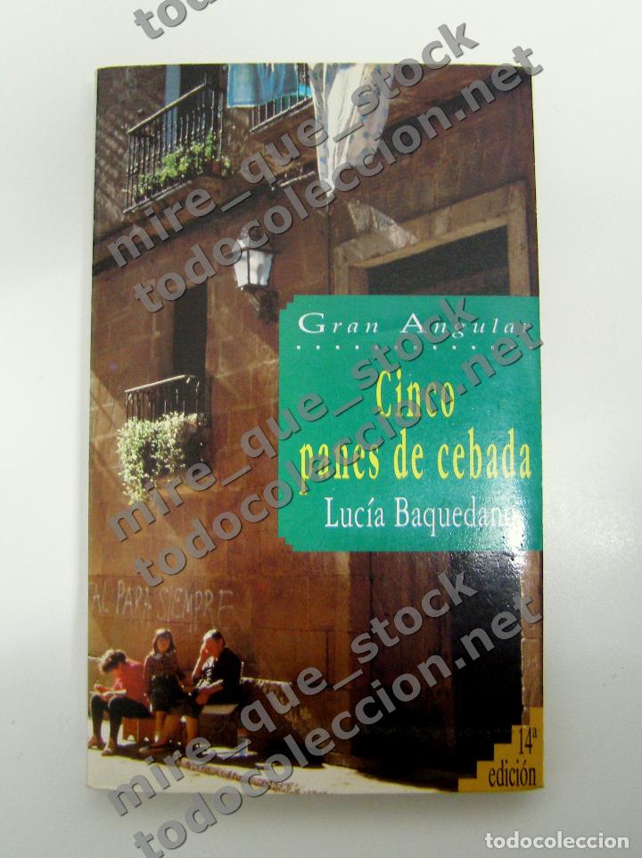 Libros de segunda mano: CINCO PANES DE CEBADA - LUC&Iacute;A BAQUEDANO / S.M. / GRAN ANGULAR / #17 / 1992 - Foto 1