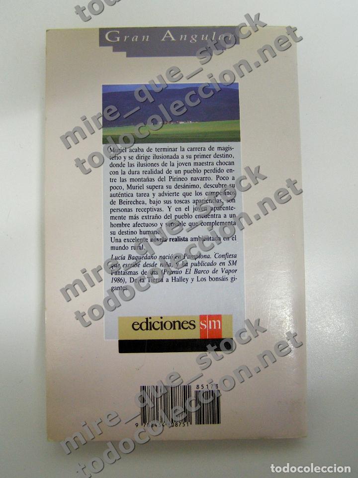 Libros de segunda mano: CINCO PANES DE CEBADA - LUC&Iacute;A BAQUEDANO / S.M. / GRAN ANGULAR / #17 / 1992 - Foto 3