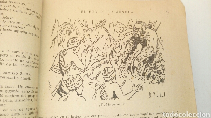 Libros de segunda mano: EL REY DE LA JUNGLA, de Luis Motta. - Foto 5