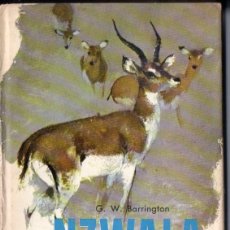 Libros de segunda mano: G. W. BARRINGTON : NZWALA EL ANTÍLOPE (MOLINO ANIMALES Y SELVA, 1962). Lote 167960468