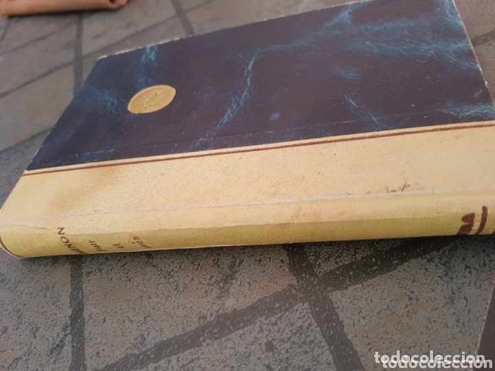 Libros de segunda mano: Pietr el let&oacute;n - albor - Foto 1