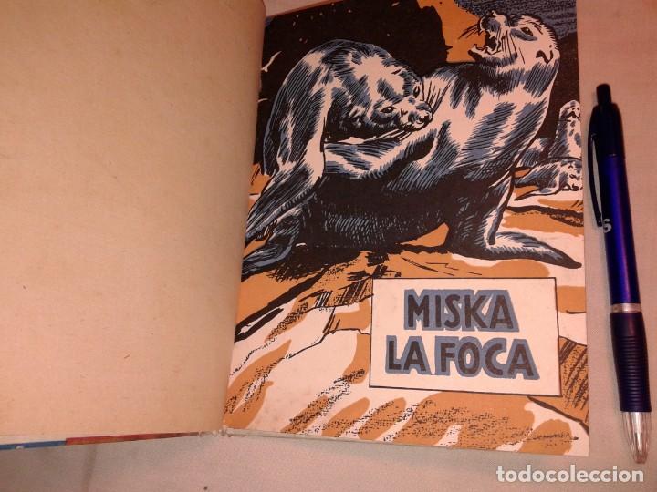 Libros de segunda mano: MISKA LA FOCA, B7 - Foto 2