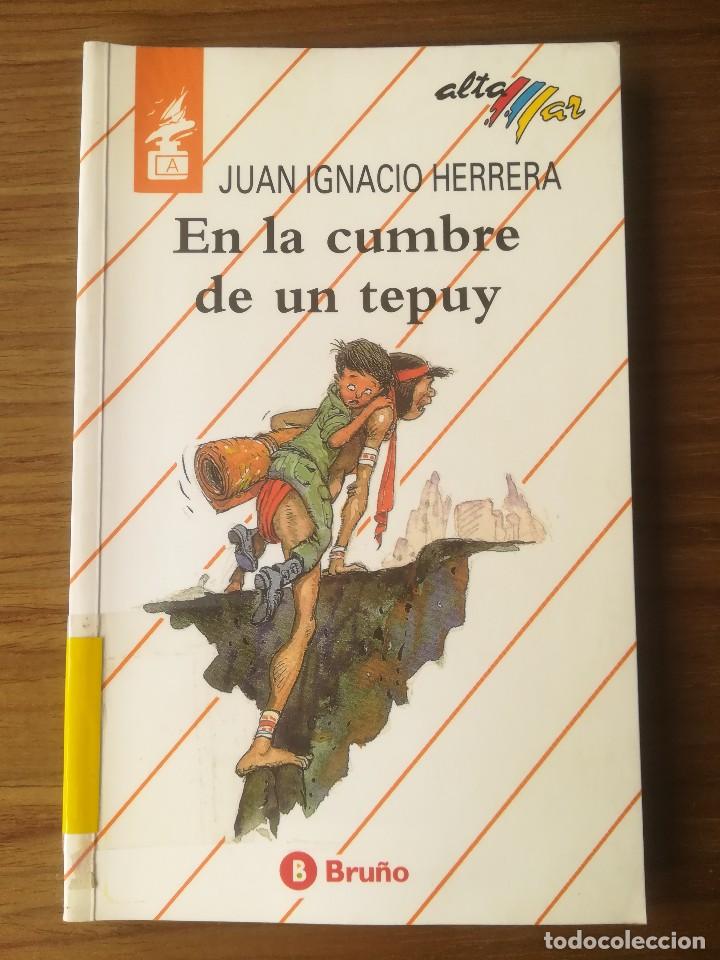 Libros de segunda mano: EN LA CUMBRE DE UN TEPUY N&ordm; 88 JUAN IGNACIO HERRERA BRU&Ntilde;O ALTA MAR 1994 COLECCION AVENTURAS