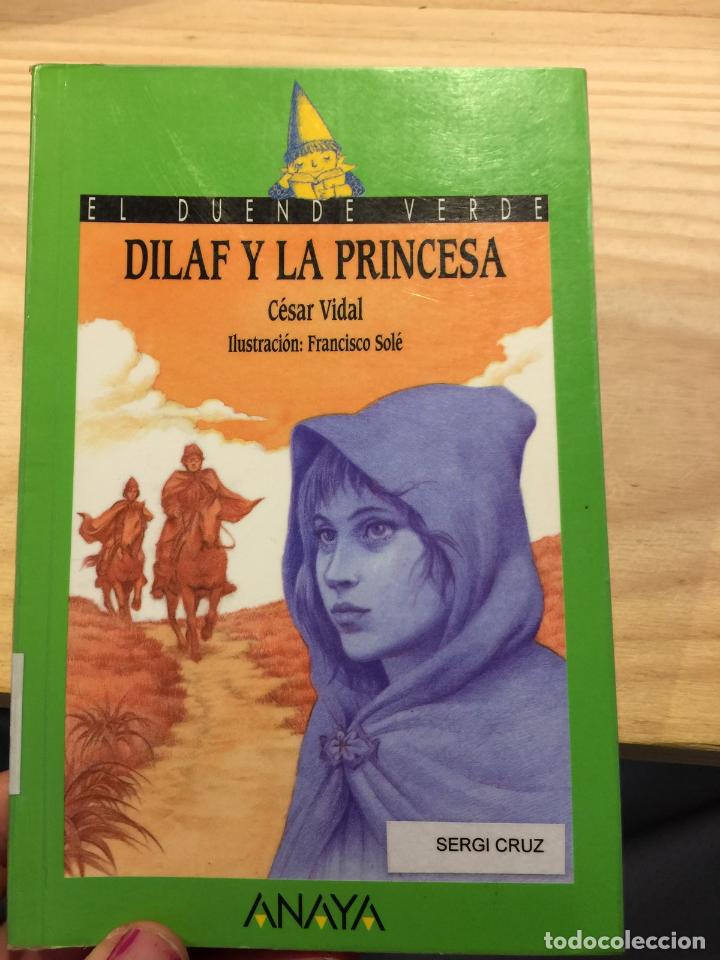 Libros de segunda mano: DILAF Y LA PRINCESA - C&eacute;sar Vidal - Foto 1