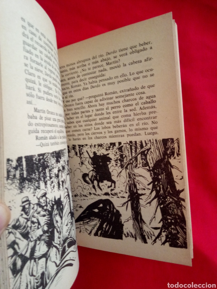 Libros de segunda mano: DARDO, EL CABALLO DEL BOSQUE. RAFAEL MORALES. - Foto 4