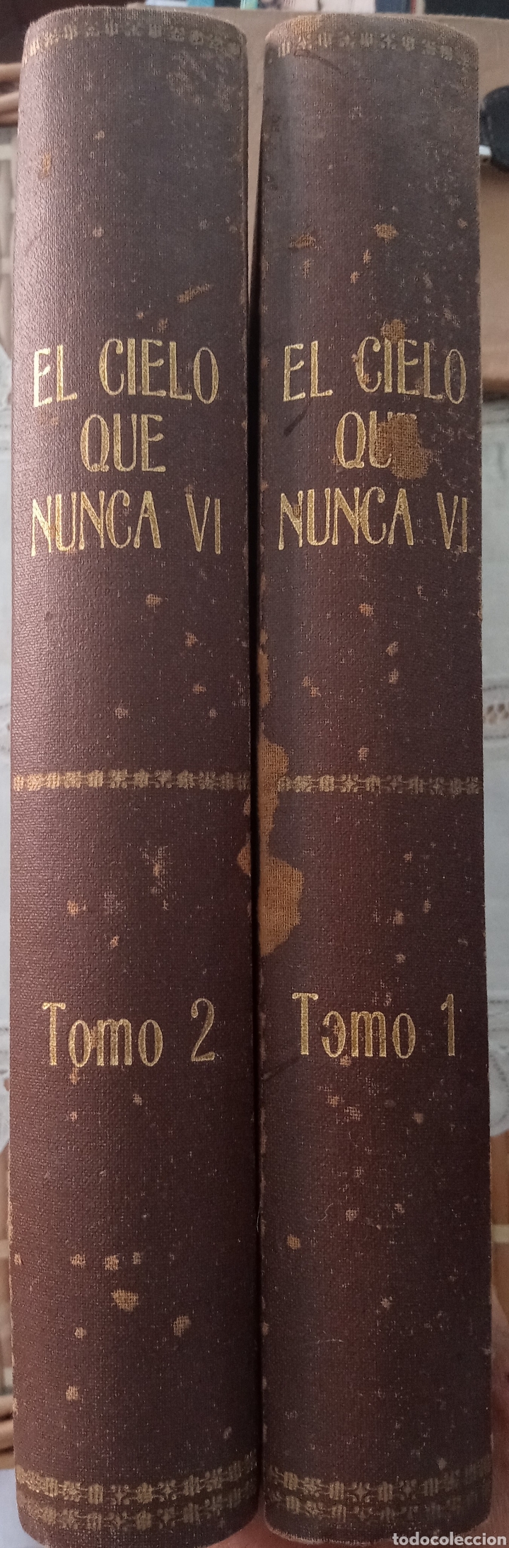 El cielo que nunca v&iacute;.