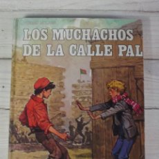 Libros de segunda mano: LOS MUCHACHOS DE LA CALLE PAL - FERENC MOLNAR - CLASICOS DE LA JUVENTUD. Lote 218994120