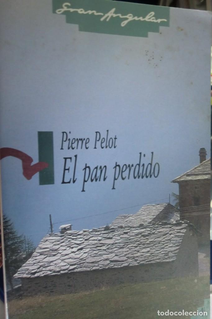 Libros de segunda mano: COLECCI&Oacute;N GRAN ANGULAR N. 2 EL PAN PERDIDO. PIERRE PELOT EDICIONES SM - Foto 1