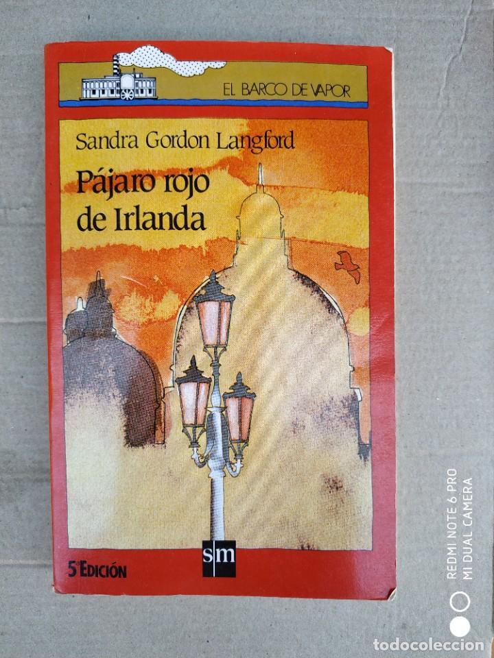 Libros de segunda mano: P&Aacute;JARO ROJO DE IRLANDA DE SANDRA GORDON L EL BARCO DE VAPOR N&ordm; 104 LIBROS ROJOS 12 A&Ntilde;OS