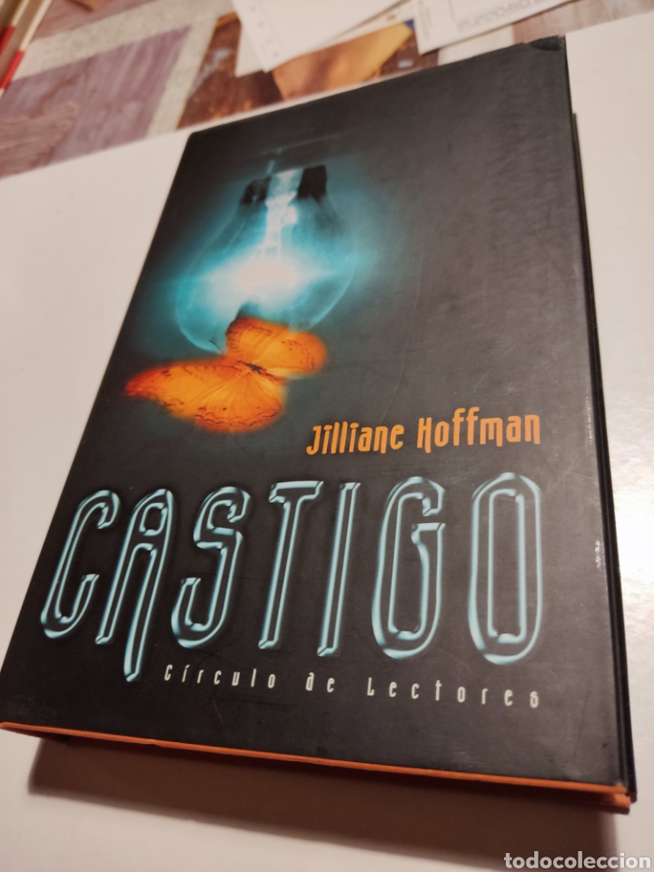 Libros de segunda mano: Libro castigo de jilliane Hoffman - Foto 1