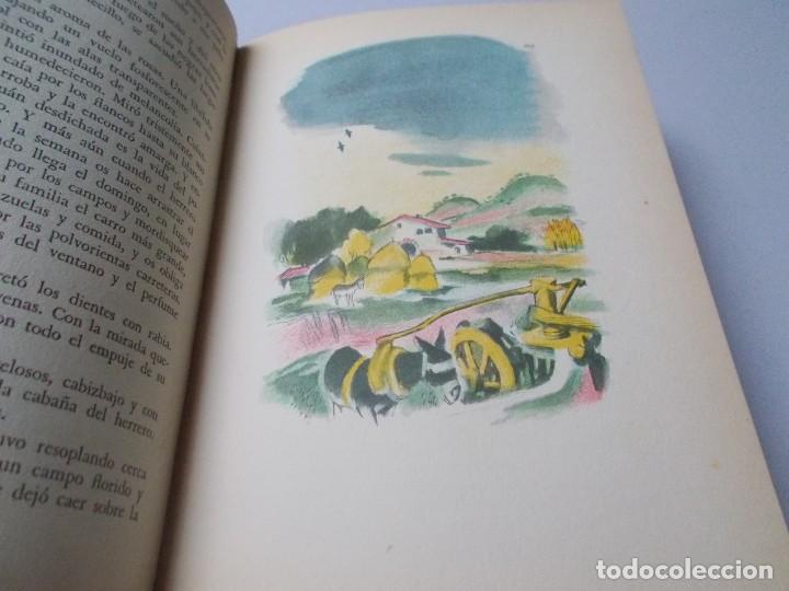 Libros de segunda mano: MI VIDA EN EL LAGO M. Planas Bach - Foto 8