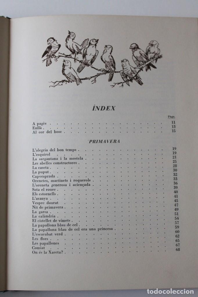 Libros de segunda mano: Lola Anglada - Martinet - Foto 5