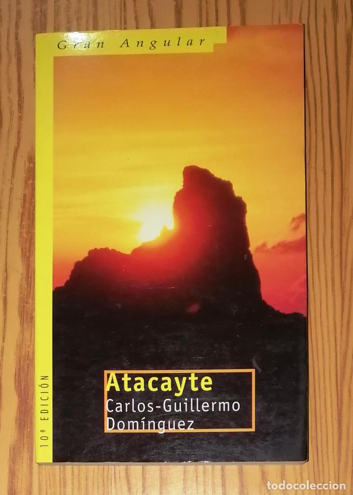 Libros de segunda mano: DOM&Iacute;NGUEZ, Carlos-Guillermo. Atacayte (Gran Angular ; 55). - Ediciones SM, 1999 - Foto 1