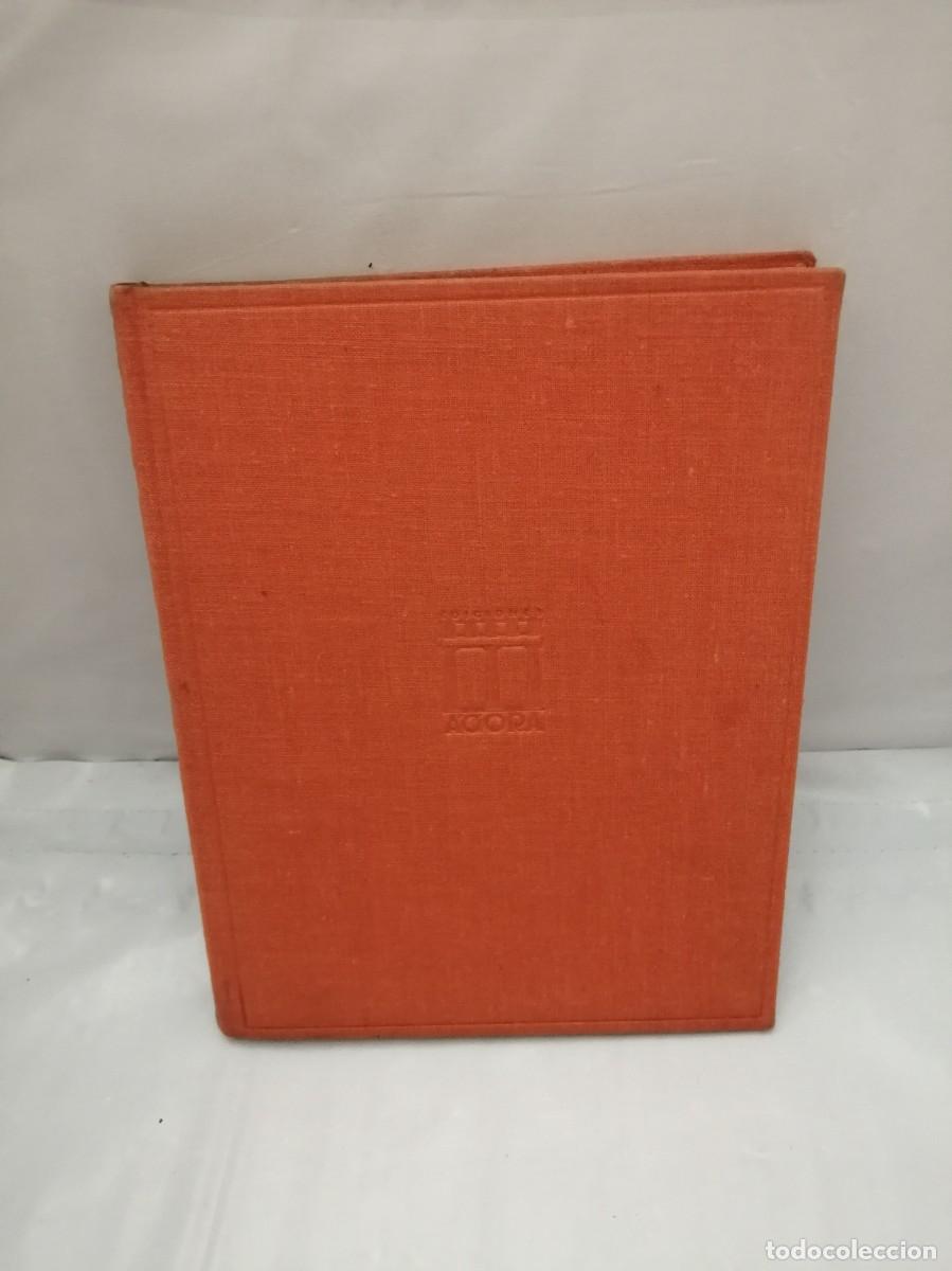 Second hand books: MARIBEL Y LOS ELEFANTES. NOVELA PARA ADOLESCENTES (PRIMERA EDICI&Oacute;N, TAPA DURA SIN SOBRECUBIERTA)