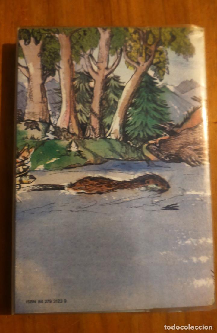 Libros de segunda mano: EL R&Iacute;O DE LOS CASTORES. - Foto 2