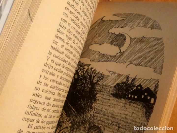 Libros de segunda mano: EL R&Iacute;O DE LOS CASTORES. - Foto 5